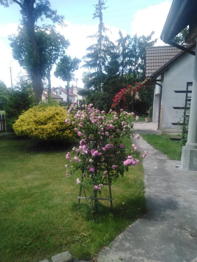Piernikowy Dworek Lubicz Esterno foto